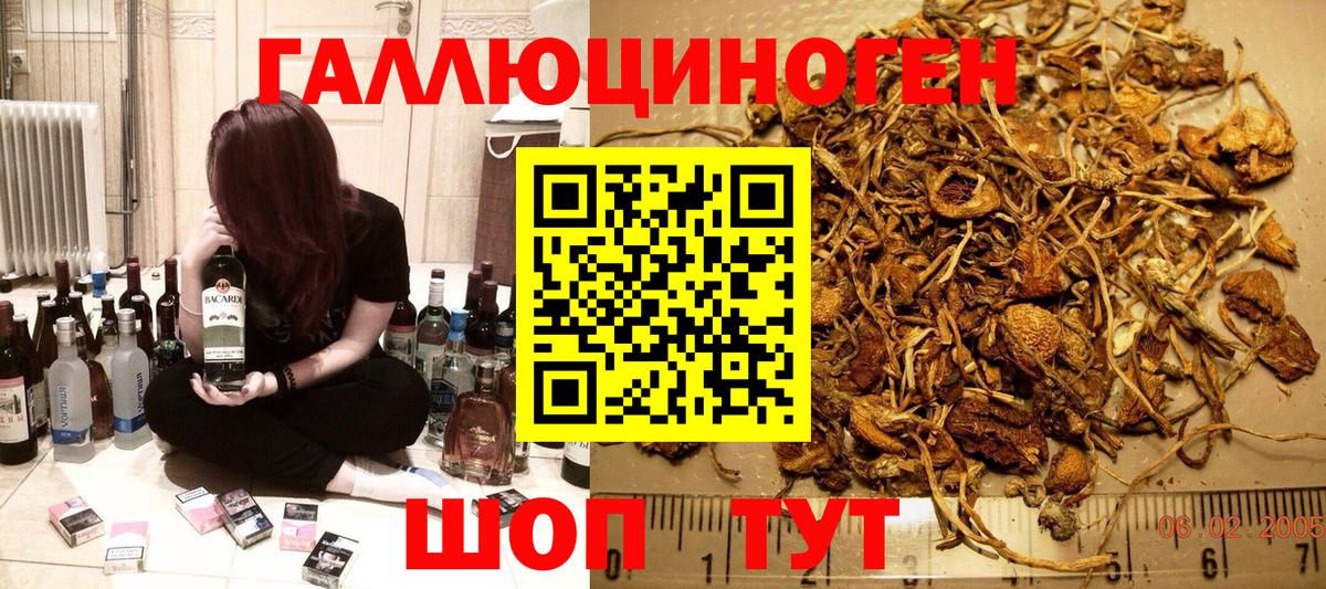 Псилоцибиновые грибы Magic Shrooms  закладки  Рыбинск 