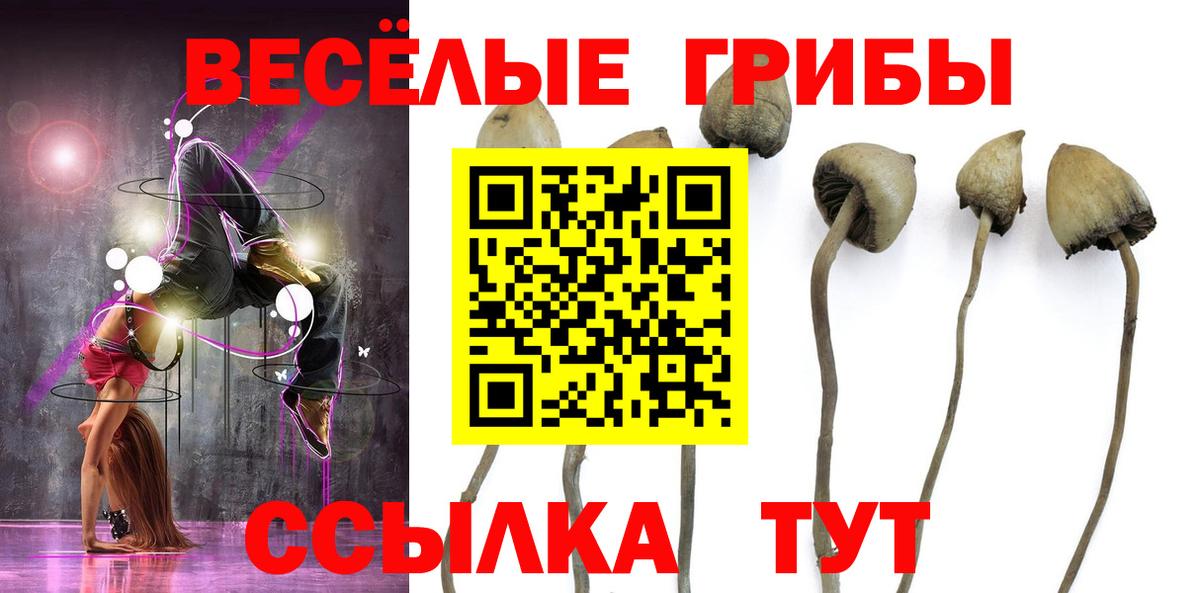 Рыбинск  Псилоцибиновые грибы Psilocybe  Вход с VPN 